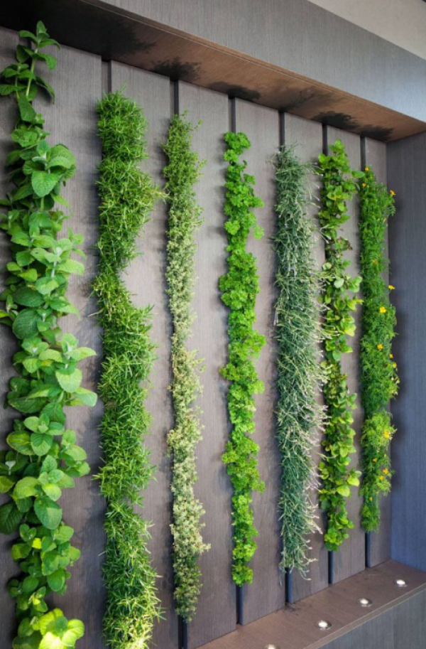 Taman Vertikal dengan Aksen Tanaman Hijau